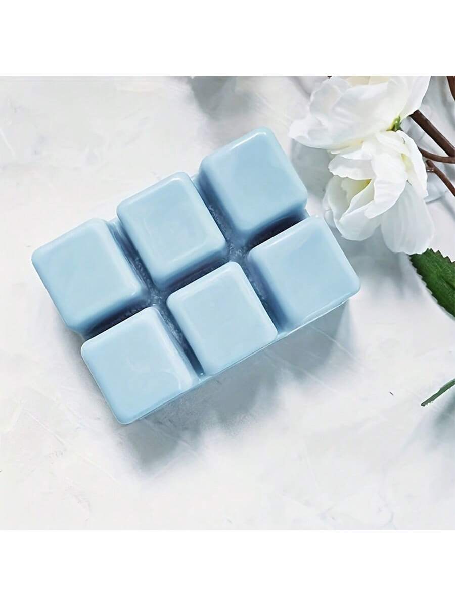 ถาดพลาสติกใสทรงสี่เหลี่ยม 6 หล - Soap Making Websites บทวิจารณ์และราคา